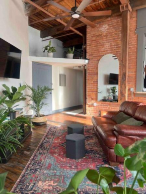 420 Friendly Canada Bridge View Loft Downtown FREE parking